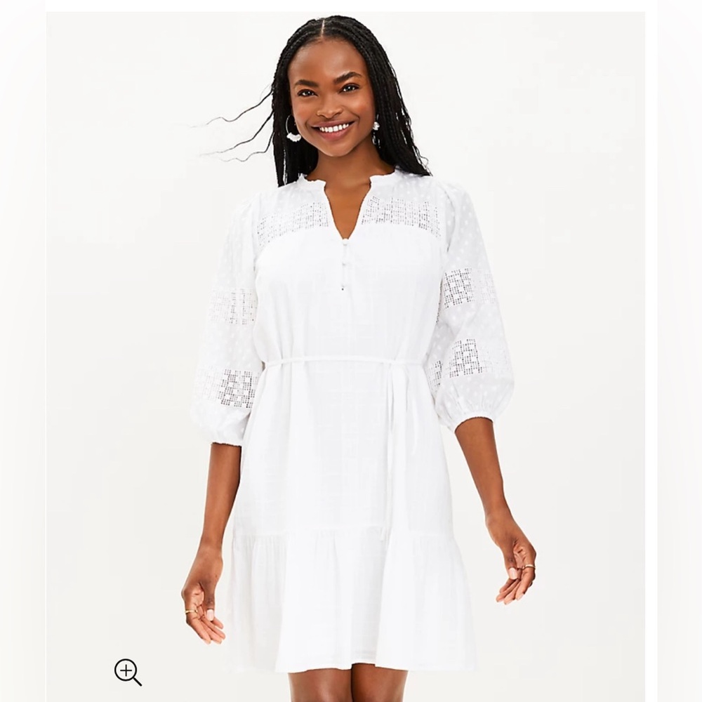 Petite Dotted Lace Trim Flounce Swing Dress